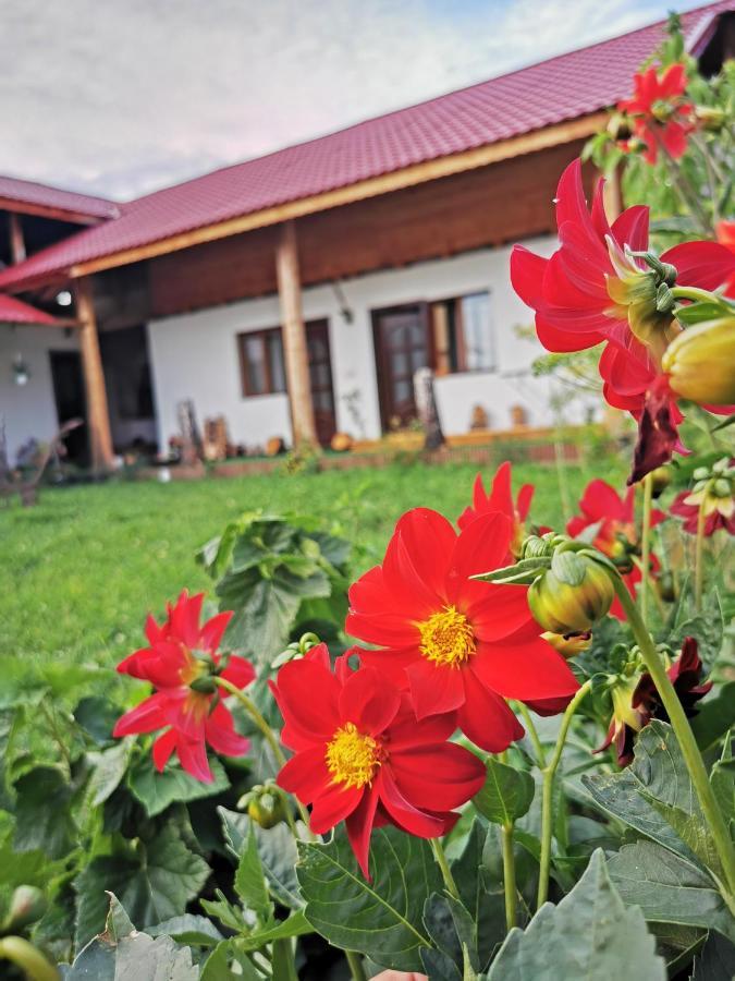 Jugul Taranului Agropensiune Polovragi, Gorj Villa Luaran gambar